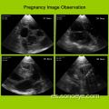 Escáner de ultrasonido veterinario inalámbrico